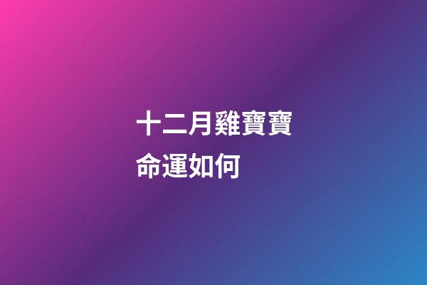 十二月雞寶寶命運如何 (十二月的雞寶寶好嗎)-第1張-觀點-玄機派